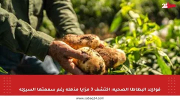 فوائد البطاطا الصحية: اكتشف 3 مزايا مذهلة رغم سمعتها السيئة